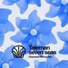 Somewhere (Original Mix) - Taleman