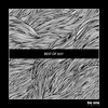 Gde (Ben Teufel Remix) - Jax D