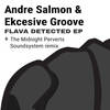 Flava Detected (The Midnight Perverts Soundsystem Remix) - Andre Salmon&Ekcesive Groove&The Midnight Perverts Soundsystem