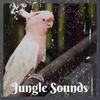 Jungle Sounds - Tropical Deep