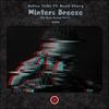 Winters Breeze (ChriSoul Inactive & TorQue MuziQ Remix) - Native Tribe&Rocio Starry&Chrisoul Inactive&TorQue MuziQ