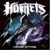 Hornets - Young Steve