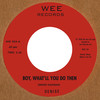Boy, What'll You Do Then - Denise&Denise Kaufman