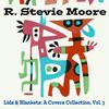 Please Mr. Gravedigger - R. Stevie Moore