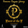 Game By The Ton - Pomona Pimpin Young&Swift Holiday&Toney Martell