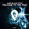 Welcome To The Wild - James Black Pitch