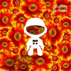 No Guns - Ale Flowers