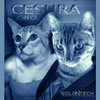 Goin Out (Original Mix|Explicit) - Cesura