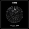 Shards (Remotion Remix) - Monotronik&Remotion