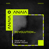 Revolutiion (Radio Edit) - Dani Villa&Rodri Vegas