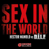 Sex in the World (Marysun) - Hector Manolo&D.I.L.F.