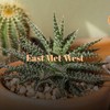 East Met West - Joe Garrisi