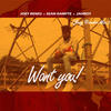 Want You (Joey Benks Mix) - Sean Dampte&JAHBOY&Joey Benks