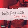 Terrible But Beautiful (Explicit) - Carlos $lim