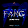 Feeling good - Zihao Fang&Feii Vang&Mingquan Zhang