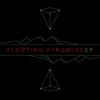 Run - Floating Pyramids&Sammi Constantine