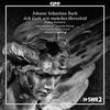 Ich ende behende mein irdisches Leben (Soprano) - Hana Blazikova&Kirchheimer BachConsort&Alfredo Bernardini