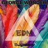 Yeah - George Wonder