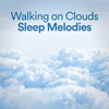 Goma Intro(Music for Reminiscing) - The Relaxing Folk Lifestyle Band
