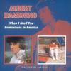 Little Arrows - Albert Hammond Jr.