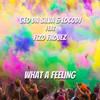 What a Feeling (Extended) - Geo Da Silva&LocoDJ&Fizo Faouez&Constantin Cristinel Gheorghe&Oana Vincu&Florin Chiteala