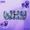 WHY (Explicit) - BOY FLOSS