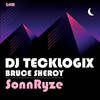 SonnRyze (Original Mix) - DJ TeckLogix&Bruce Sheroy