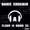 Floor 13 Room 33 - Baris Erdemir