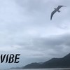 Uma Noite Bem Ruim(feat. Selva)(Faixa Bonus) - Vibe a Banda&Selva