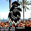 Boutique House (Original Mix) - Maliblue&Bane Paunovic