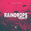 Raindrops (Remix) - Dj Panda Boladao&SP3RROW