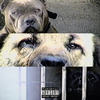 Monster (Clean Radio Edit) - L Star&Daseplate&Breeza