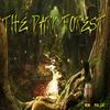 The Dark Forest (Deluxe Edition) - B52