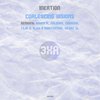 Coalescing Visions (Vegaz SL Remix) - Inertion&VegaZ SL
