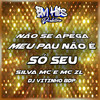 Não Se Apega Meu Pau Não É Só Seu (Explicit) - DJ VITINHO BDP&Silva MC&MC ZL