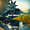 Bad Mood (feat. Leek JoneZ) (Explicit) - Tyler&Leek Jonez