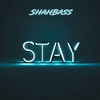 Stay - ShahBass