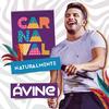 Amor Fuleragem - Avine Vinny