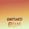 Unitard Bum - Zuly