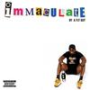 Immaculate(feat. Ghostface Killah) (Explicit) - A Fly Guy&Ghostface Killah