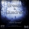 Dark Forest (Original Mix) - Breeze&Quadrat