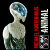 Animal - Michael Kortenhaus