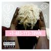 +1-403-YY3-T0WN (Explicit) - Emmanuel Yung&Maabeatz