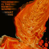 What The - Yellow Is The New White&Rene Pichler