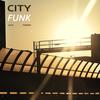 City Funk (Original Mix) - Alex Pardini