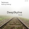 Nothing Is Wrong (Original Mix) - Tecknoom