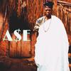 ase - FSN JB