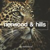 I Might Feel - Norwood & Hills