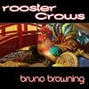 The Rooster (Original Mix) - Bruno Browning