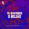 Ta Sentindo o Rojão (Explicit) - MR Bim&MC Vuk Vuk&DJ GORDINHO DA VF&DJ Giovanne Mandelão